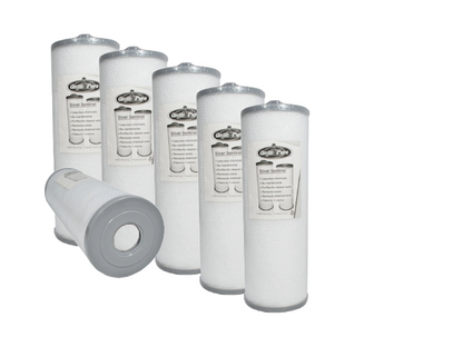 Engangsfilter med skru – 6-pack Arctic Spas